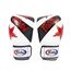 Boxhandschuhe Fairtex BGV1 – Nation Print – Weiss – 14 oz, Farbe: Weiss, OZ: 14oz, 2 image