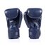 Boxing Gloves Fairtex BGV1C-PLUS – Blue – 8 oz, Colour: Blue, OZ: 8oz, 4 image