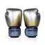 Boxhandschuhe Fairtex BGV1C-PLUS x Milli – Silber – 10 oz, Farbe: Silber, OZ: 10oz