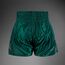 Muay Thai Shorts Venum Classic – Forest Green – M, Size: M, Colour: Green, 2 image