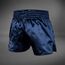 Venum Classic Muay Thai Shorts Blue/White L, Taglia: L, Colore: Blu, 3 image