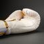 Gants de boxe Venum Challenger 2.5 Blanc/Or 10oz, Couleur: Blanc, oz: 10oz, 3 image