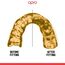 Protège-dents UFC Instant Custom Fit OPRO – Or/Blanc, Taille: Taille unique, Couleur: Or, 2 image
