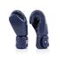 Gants de boxe Fairtex BGV1C-PLUS – Bleu – 10 oz, Couleur: Bleu, oz: 10oz, 3 image