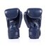 Gants de boxe Fairtex BGV1C-PLUS – Bleu – 10 oz, Couleur: Bleu, oz: 10oz, 4 image