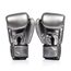 Boxing Gloves Fairtex BGV1C-PLUS – Gun Metallic – 10 oz, Colour: Silber, OZ: 10oz, 4 image