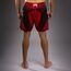 Kampfshorts Venum Galactic 3.0 Rot/Silber S, Bekleidungsgrösse: S, Farbe: Rot, 3 image