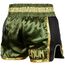 Venum Giant Muay Thai Shorts, Colour: Khaki, Size: XL, 4 image