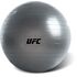 UHA-69158-UFC Fitball - 55cm