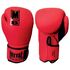 MBGAN220RN10-Boxing Gloves Training