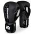 PHBG2024-12-Boxing gloves APEX Speed