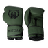 MK-220-12-Boxing gloves PRO