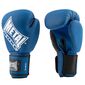 MB221B12-Boxing Gloves Training / Competition