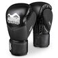 PHBG2540-12-Boxing gloves RIOT Pro