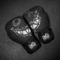 Boxhandschuhe - Serious