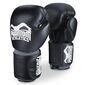 Boxhandschuhe Elite ATF