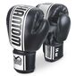 Boxhandschuhe MT-Pro