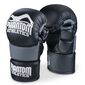 MMA Sparring Handschuhe