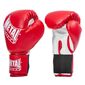 Boxhandschuhe Initiation