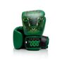 Boxhandschuhe Fairtex Resurrection