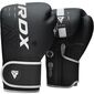 Boxhandschuhe Rex F6 Kids