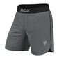 MMA Shorts T15
