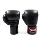 Boxhandschuhe Twins Schwarz/Schwarz – 14oz