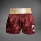Venum Muay Thai Shorts Classic Bordeaux/Gold L