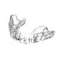 Mundschutz Instant Custom Fit OPRO Erwachsene – Transparent