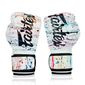 Boxhandschuhe Fairtex BGV14 – Painter – 10oz