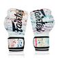 Boxhandschuhe Fairtex BGV14 – Painter – 12oz