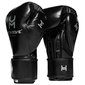 Boxhandschuhe HitnMove Balance Schwarz 14oz