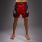 Kampfshorts Venum Galactic 3.0 Rot/Silber L