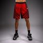 Trainingsshorts Venum Galactic 3.0 Rot/Silber L