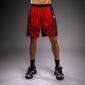 Trainingsshorts Venum Galactic 3.0 Rot/Silber S